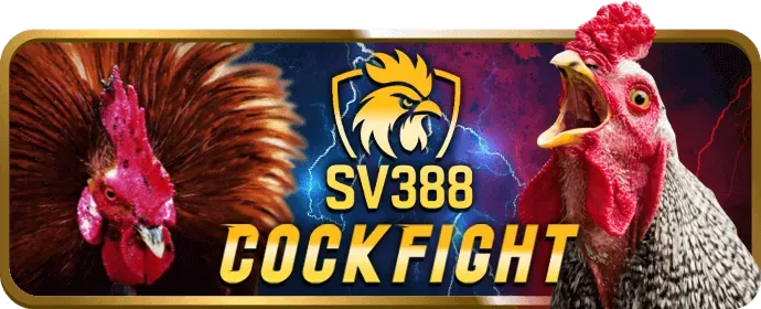 Ưu đãi chào mừng